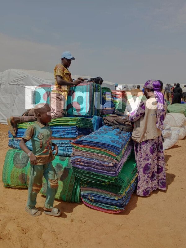 Atelier sur le genre et la protection à Bamako