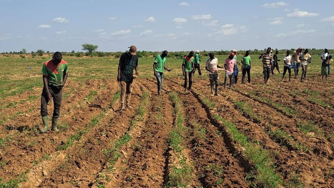 Initiative agricole favorisant l'inclusion économique